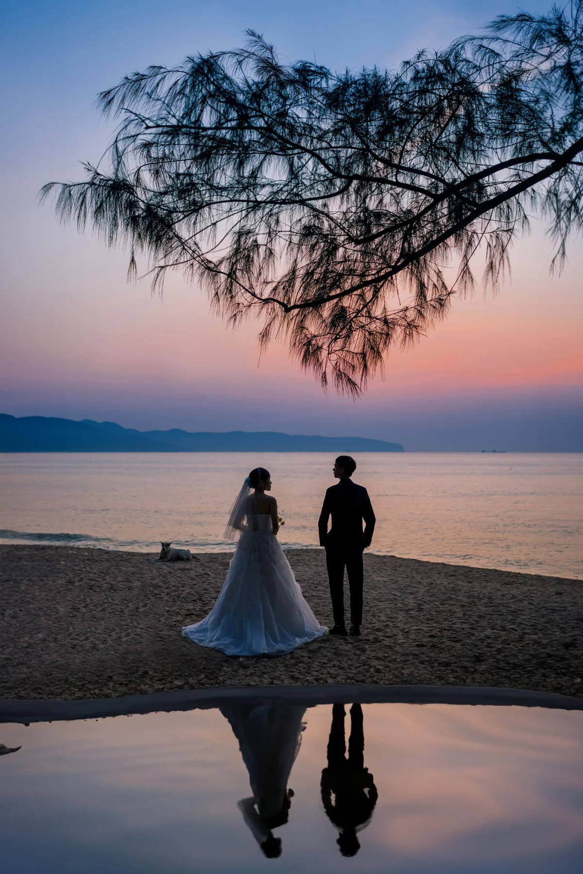 Cô dâu chú rể in bóng dưới tán phi lao lúc chạng vạng, bóng hai người phản chiếu trên vũng nước trên cát