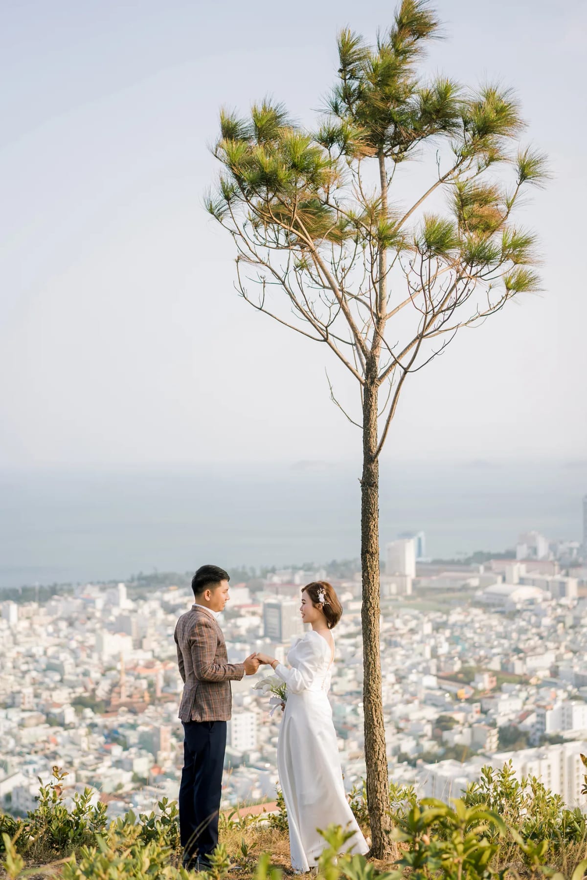 Cô dâu chú rể nắm tay bên gốc thông trên đồi cao, phía dưới là toàn cảnh thành phố biển