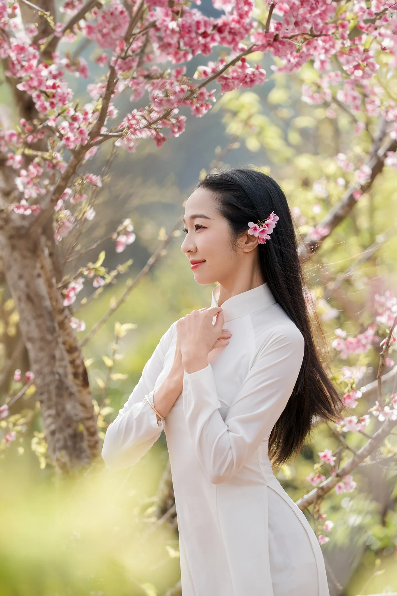 Cô gái áo dài trắng cài hoa đào lên tóc, đứng nghiêng dưới tán hoa đào nở rộ
