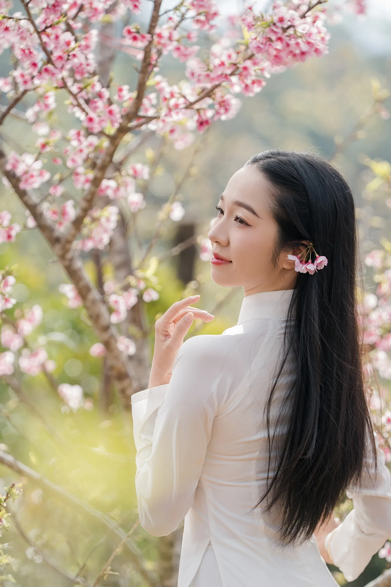 Cô gái áo dài trắng quay lưng ngoảnh lại, hoa đào cài sau tai