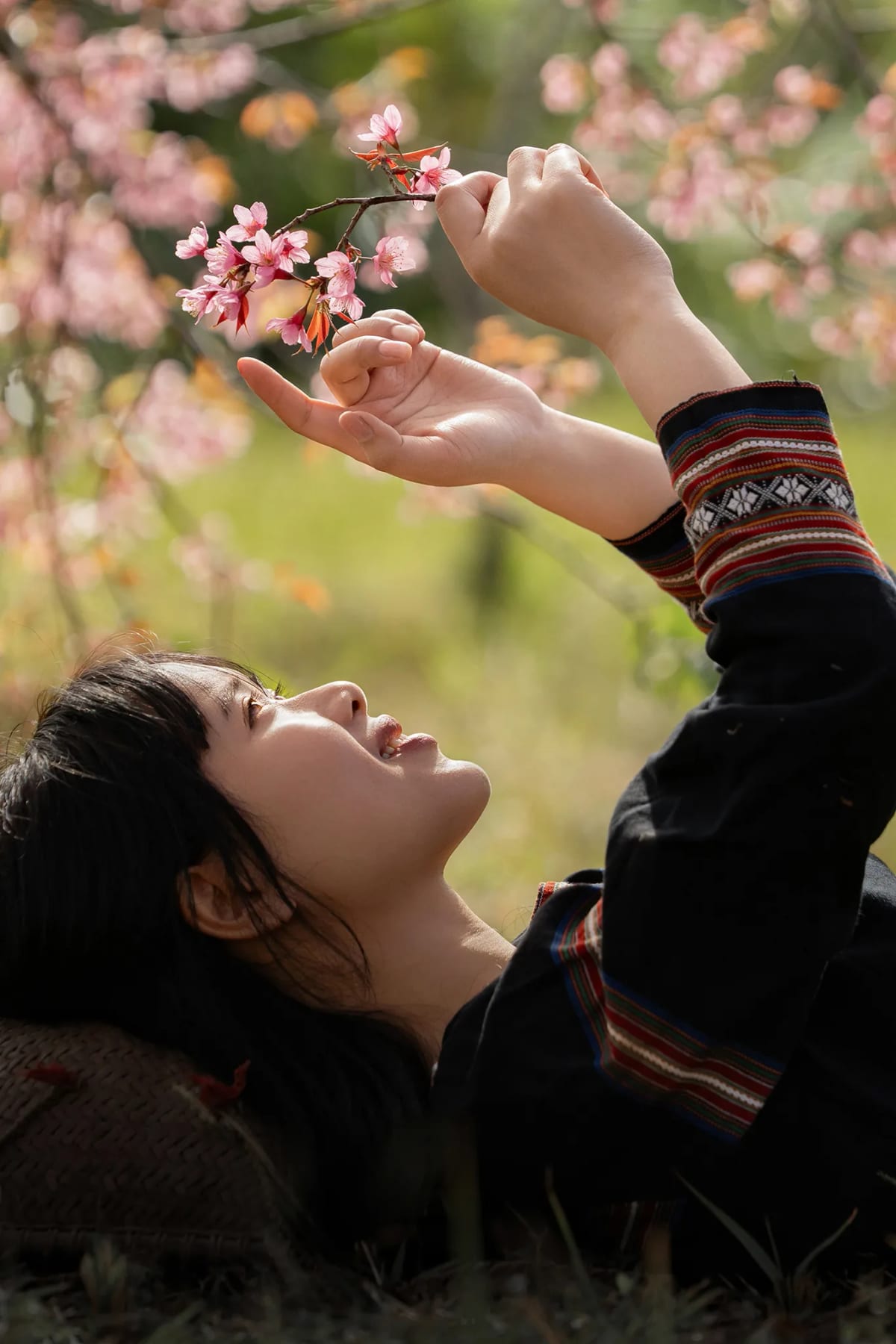Cô gái mặc áo thổ cẩm đen viền đỏ nằm ngửa trên cỏ, hai tay nâng một cành đào rừng hồng lên ngắm dưới tán hoa