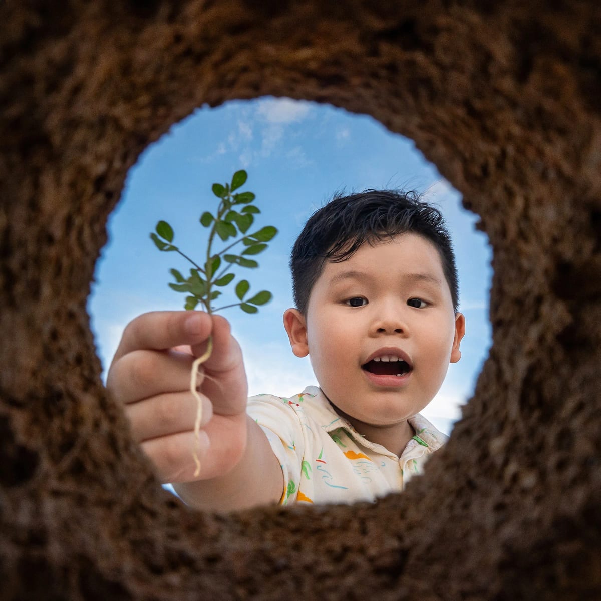 Nhìn từ trong lòng hố đất lên, cậu bé há miệng ngạc nhiên thả xuống một cây con còn nguyên rễ, quanh miệng hố là trời xanh